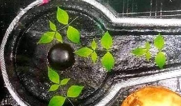 baidyanath jyotirlinga